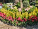 le jardin des oliviers pepiniere 2020 06 23