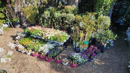 lejardindesoliviers 20250406 1920 lejardindesoliviers 20250406 1920