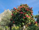 lejardindesoliviers 20250406 1920
