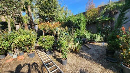 lejardindesoliviers 20250406 1920 lejardindesoliviers 20250406 1920
