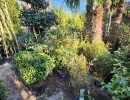 lejardindesoliviers 20250406 1920
