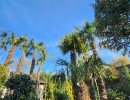 lejardindesoliviers 20250406 1920