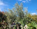 pepiniere braine l alleud 20250424 1920